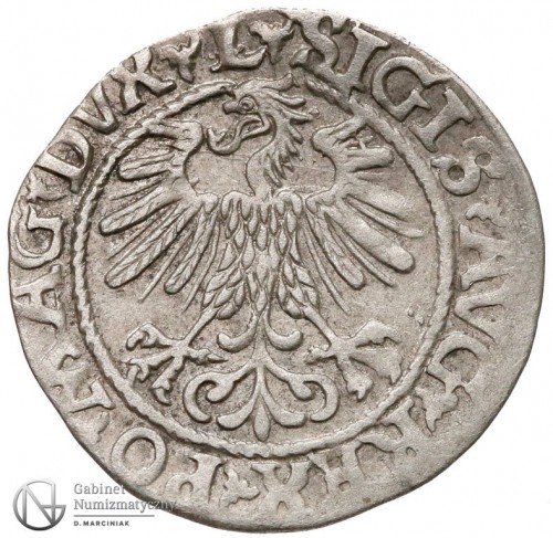 1560-półgrosz-a.jpg