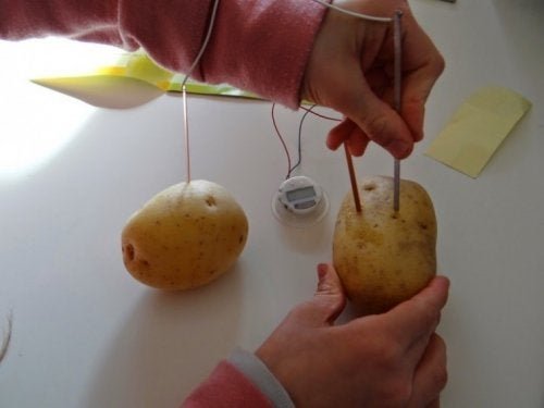 prąd-z-ziemniaka2.jpg