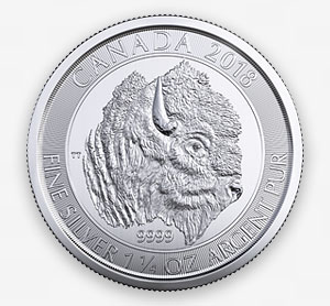 2018-buffalo-silver1.jpg